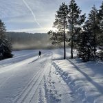 Bulletin neige du vendredi 6 février 2026